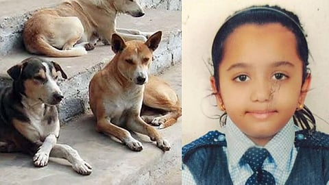 Dog Attack Girl Death