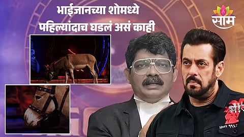 Donkey in Bigg Boss House