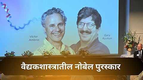 nobel prize in medicine 2024 winner victor ambros and gary ruvkun : व्हिक्टर अॅम्ब्रोस, गॅरी रवकुन यांना वैद्यकशास्त्रातील नोबेल पुरस्कार जाहीर