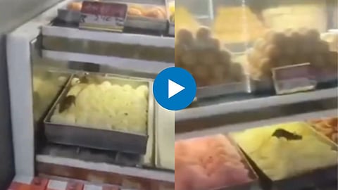 Viral Video