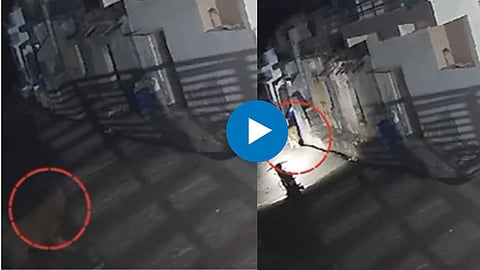 Viral Video