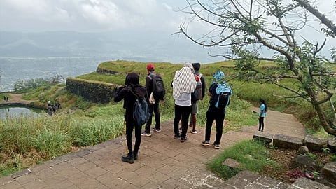 Rajgad fort bee attack