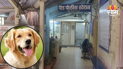 Pune Crime: हृदयद्रावक! आधी फासावर लटकवलं, नंतर श्वानावर गोळ्या झाडल्या; पुण्यातील धक्कादायक प्रकार