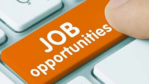 Government Job