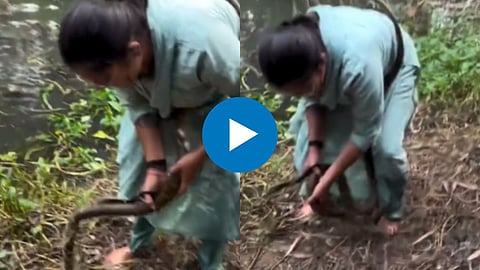 Shocking Viral Video