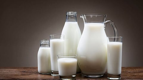 Milk