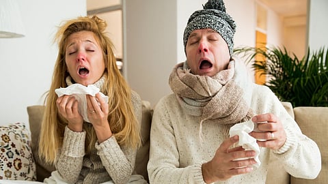 Cold & Cough