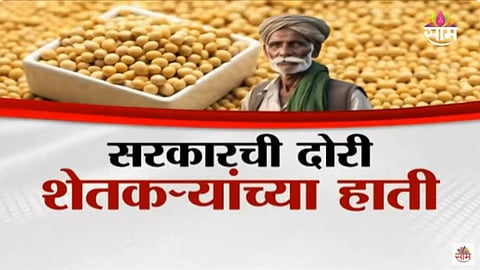Assembly Election: सरकारची दोरी, शेतकऱ्यांच्या हाती; कांद्यापाठोपाठ सोयाबीन महायुतीला रडवणार?