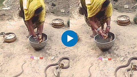 Viral Video
