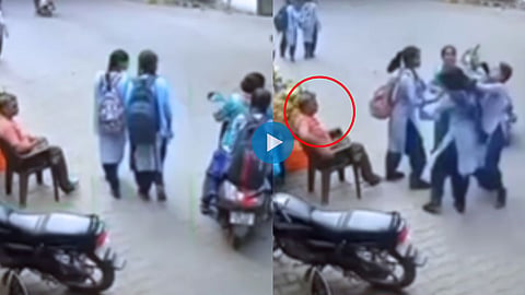 Funny Viral Video