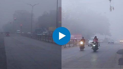 Viral Video-
