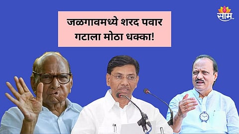 Maharashtra Politics: विधानसभा होताच अजितदादांचा शरद पवारांना धक्का, मोठा नेता घड्याळ बांधण्याच्या तयारीत
