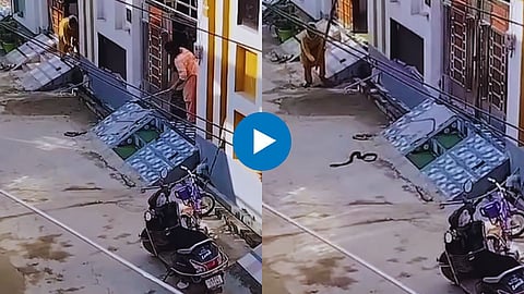 Shocking Viral Video