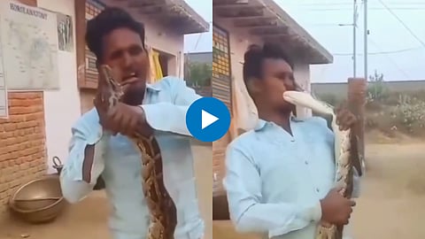 Viral Video