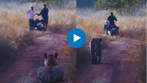 Shocking Video