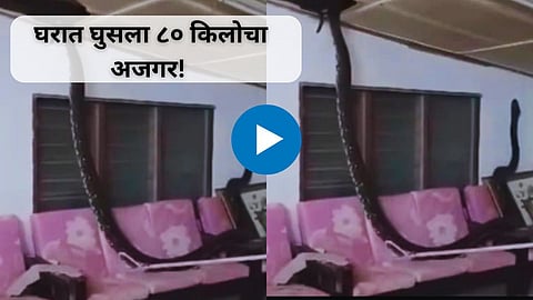 Shocking Video