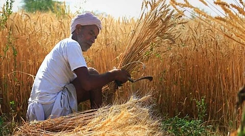 Farmer