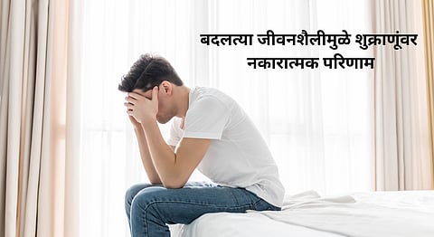 Male Infertility