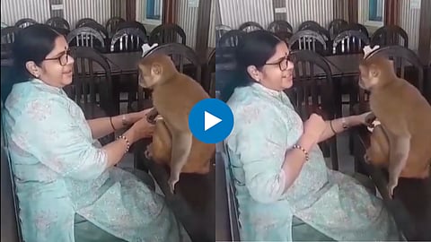 Viral Video