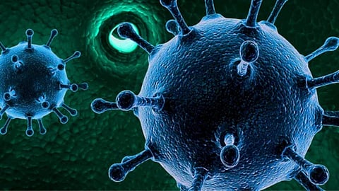 HMPV Virus: 'एचएमपीव्ही'मुळे आरोग्य विभाग सतर्क, राज्यात एकही रुग्ण नसल्याचा दावा