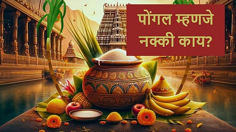 Pongal celebration, Pongal puja vidhi