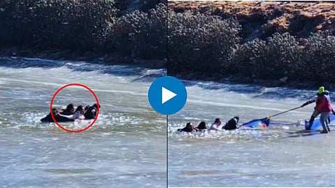 Shocking Video