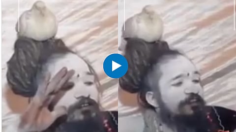 Viral Video