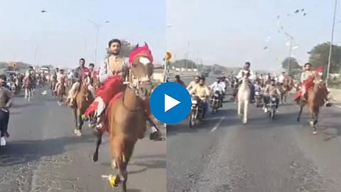 Wedding Viral Video
