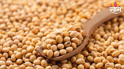 Soybean News