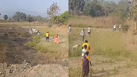 Palghar News: जमिनीसाठी तुफान राडा! पुरूषांसह महिलांना बेदम मारहाण, ५ गंभीर जखमी; VIDEO व्हायरल