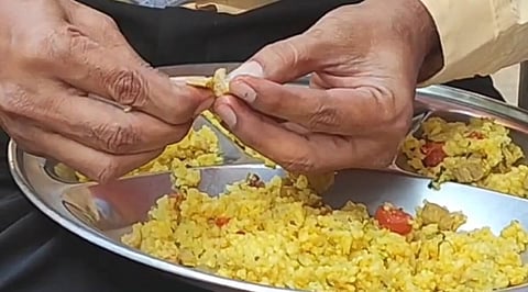 Dead Insect Found In School Meal