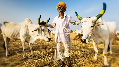 Budget PM Dhan-Dhanya Krishi Yojana