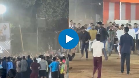 Cricket Fight News