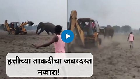Shocking Viral Vide