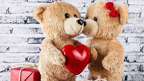 Teddy Day