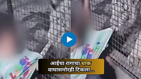 Viral Video