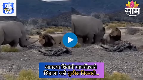 Viral Video