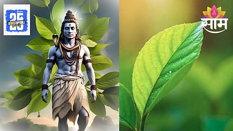 Health Tips Aurveda: बेलपत्र फक्त महादेवाला प्रिय नाही, तर आरोग्यासाठीही आहे वरदान; जाणून घ्या 'हे' ४ फायदे