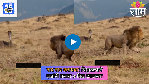 Viral Video