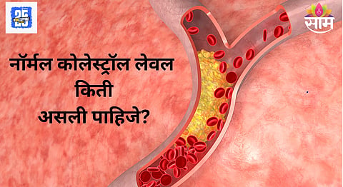 Cholesterol Normal Range