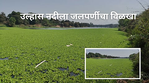 Ulhas River