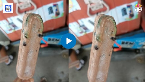 Snake In Ice Cream
