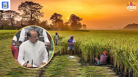 Maharashtra Budget