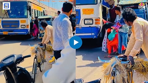Women Fight Video