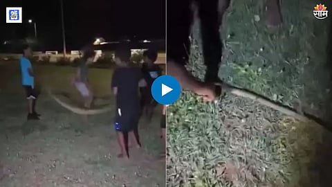 Viral Video