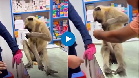 Viral Video