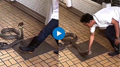 Viral Video