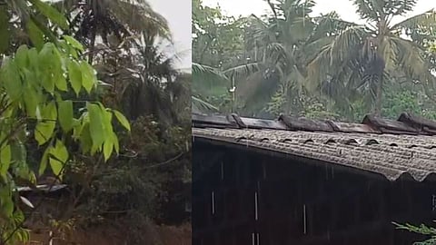 Maharashtra unseasonal rain