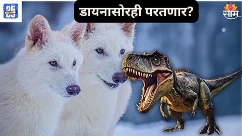 Dinosaurs Return