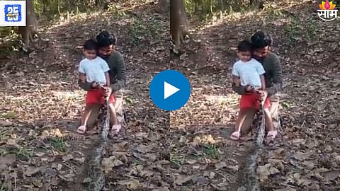 Snake Viral Video